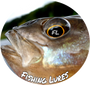 Fishing Lures Ltd