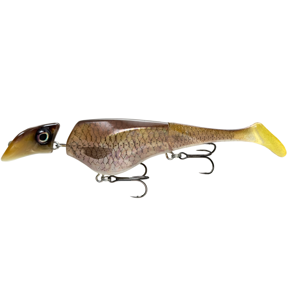 Headbanger Lures Shad 16cm - NEW 2023 Colours - Fishing Lures Ltd