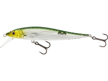 Load image into Gallery viewer, Westin Jerkbite 9cm 8g SR - Fishing Lures Ltd
