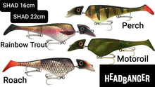 Load image into Gallery viewer, Headbanger Lures Shad 22cm (newer colours) - Fishing Lures Ltd
