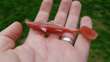 Load image into Gallery viewer, Kanalgratis Baby Shark Shad 10cm 8 pack - Fishing Lures Ltd
