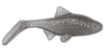 Load image into Gallery viewer, Kanalgratis Hooligan Roach Baby 9.5cm - Fishing Lures Ltd
