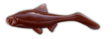 Load image into Gallery viewer, Kanalgratis Hooligan Roach Baby 9.5cm - Fishing Lures Ltd
